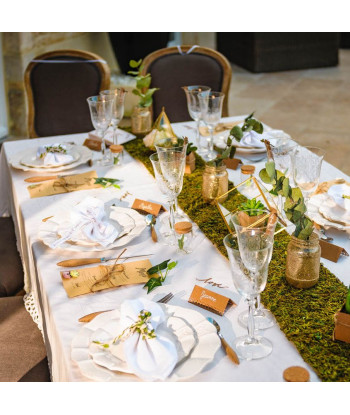 Porte alliances terrarium