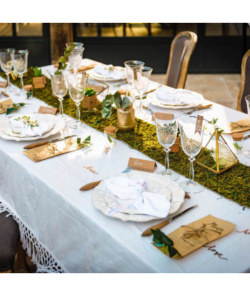 Porte alliances terrarium